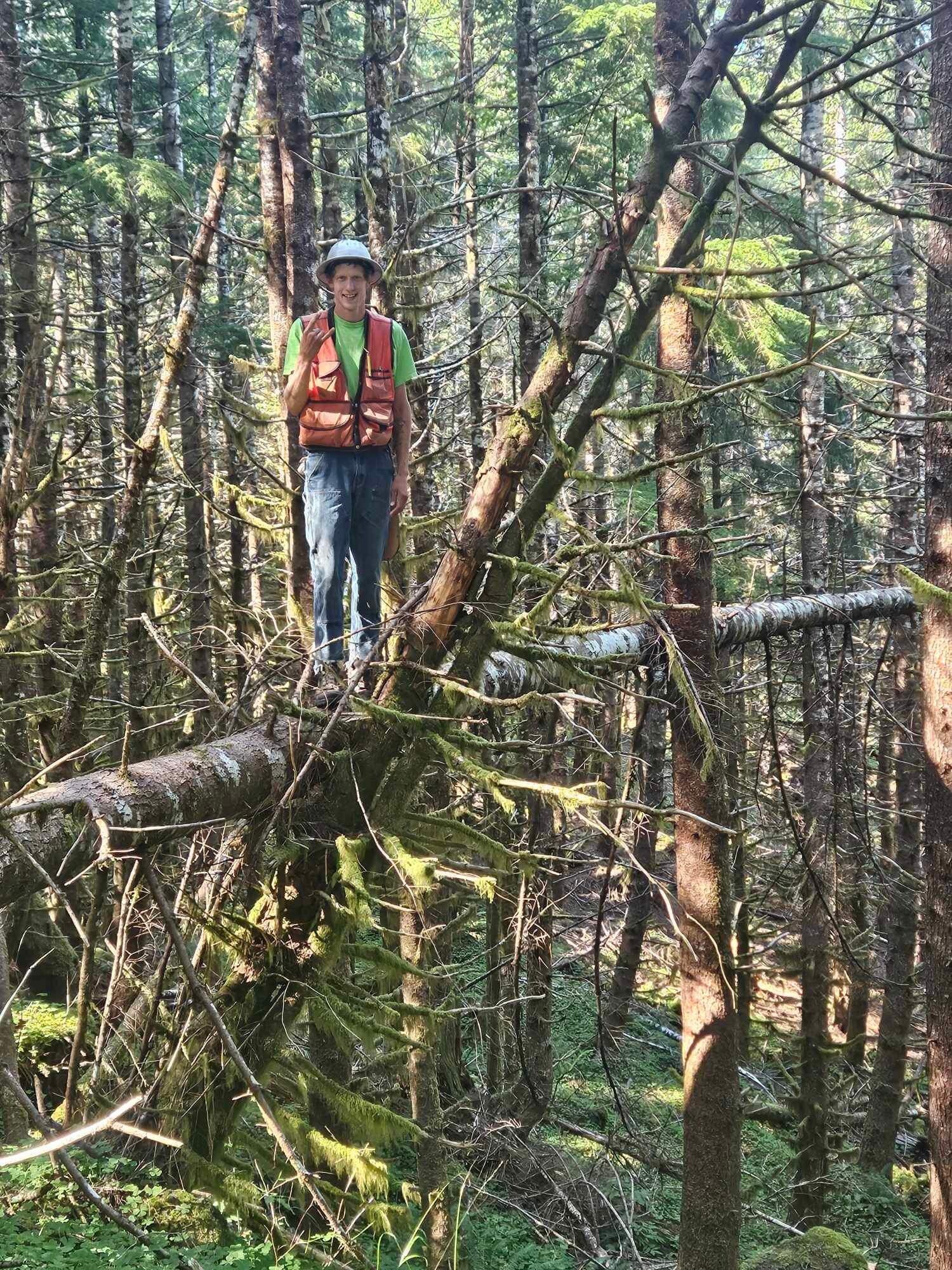 KLS surveyor navigating dense wooded terrain