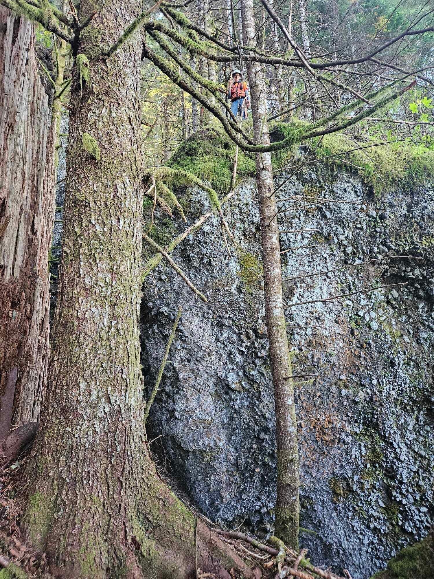 KLS crew member above a rugged moss-covered rock formation