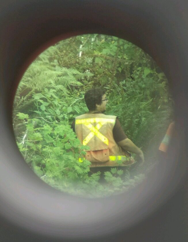 KLS crew member viewed through a survey instrument in dense vegetation